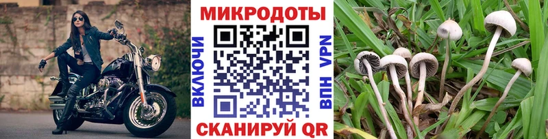 Галлюциногенные грибы мицелий  МЕГА ссылка  Краснокаменск 