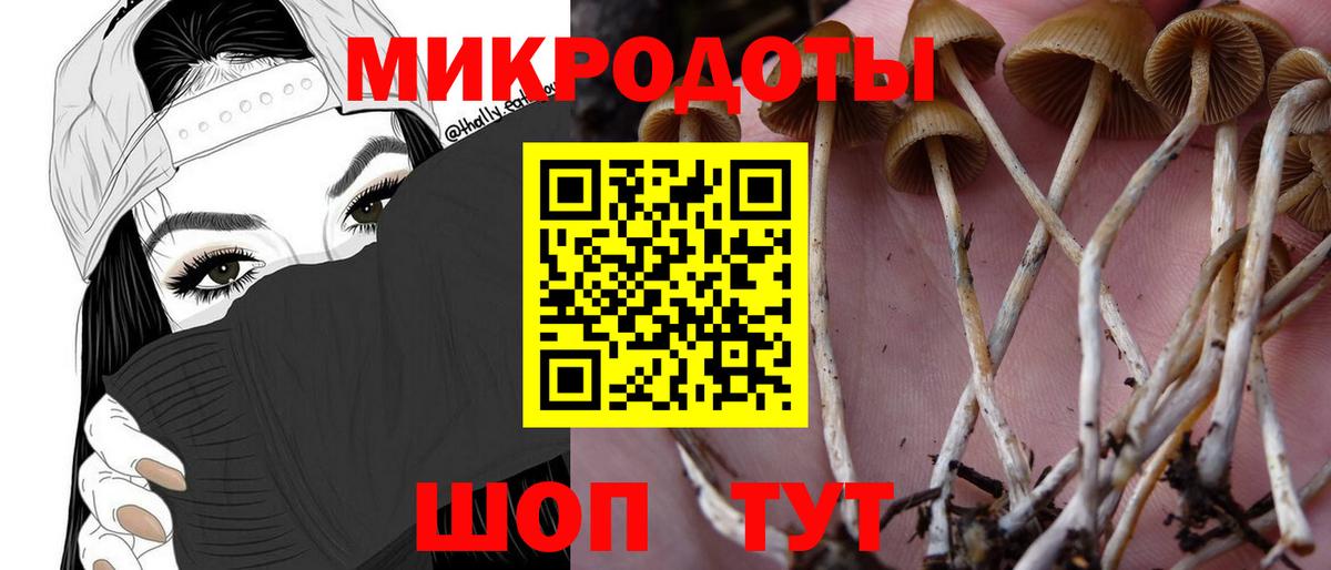 NBOMe Краснокаменск