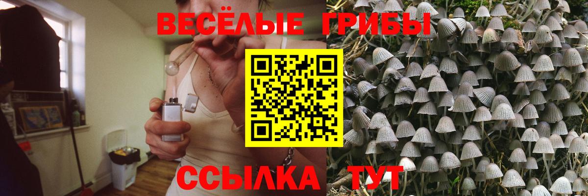 Псилоцибиновые грибы GOLDEN TEACHER Краснокаменск